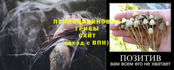 ПСИЛОЦИБИНОВЫЕ ГРИБЫ Балабаново