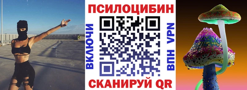 Галлюциногенные грибы Psilocybine cubensis  Купить закладки  Выборг 